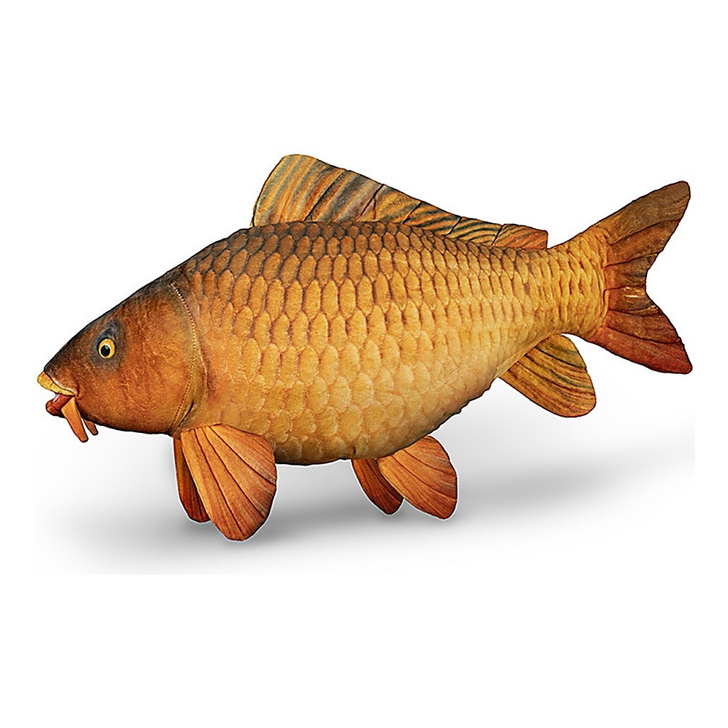 Delphin Plush Carp - 60 cm in de groep Andere / Soft Fish Toys & Trophy Fish bij Sportfiskeprylar.se (101006075)