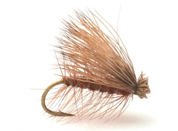 Guideline Elk Caddis Brown in de groep Kunstaas / Vliegen / Droge vliegen bij Sportfiskeprylar.se (101177GLr)