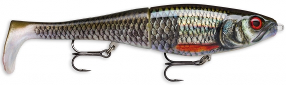 Rapala X-Rap Peto 20cm - ROL in de groep Kunstaas / Staartaas & Hybride aas bij Sportfiskeprylar.se (101203NO)