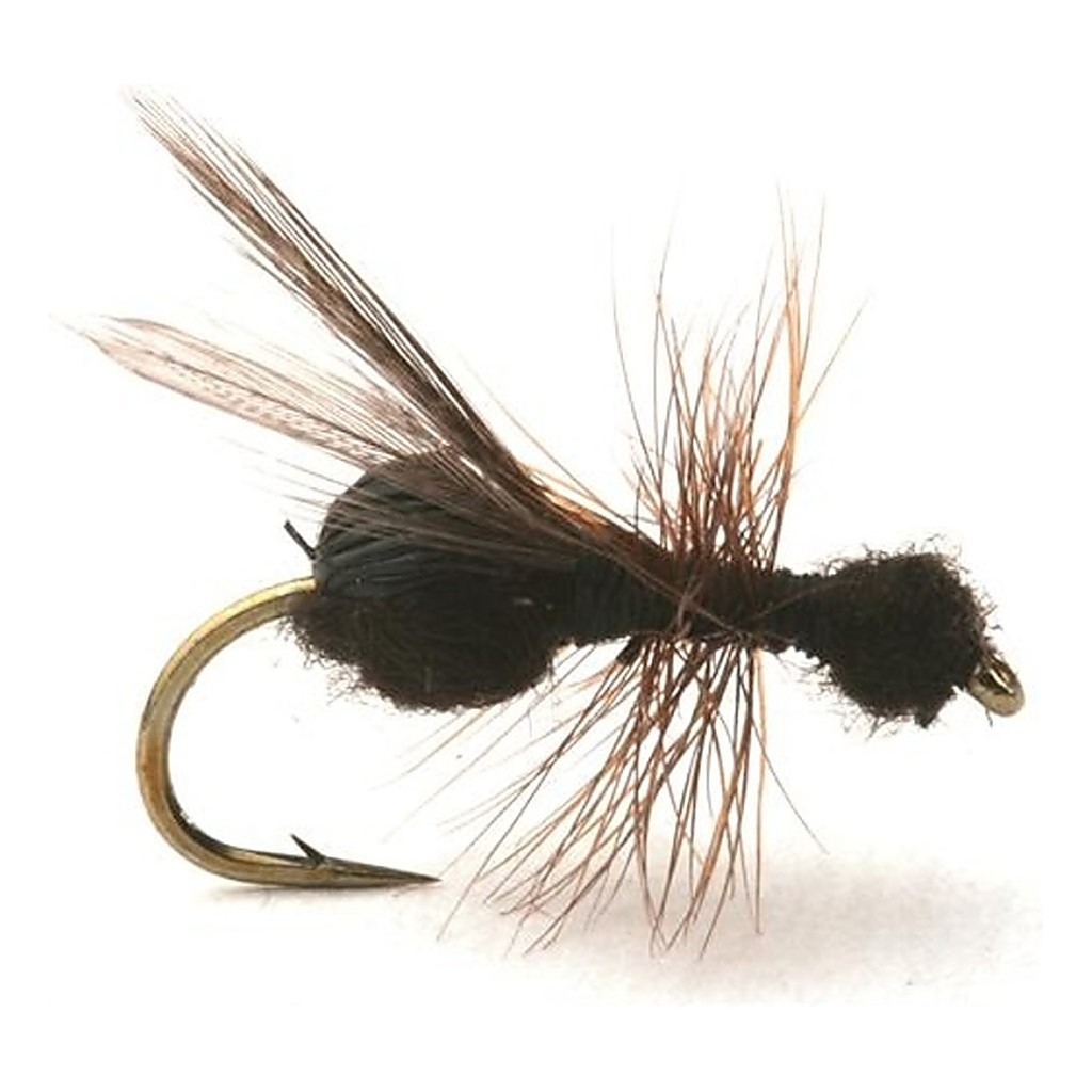 Guideline Flying Ant / Myra Black # 12 in de groep Kunstaas / Vliegen / Droge vliegen bij Sportfiskeprylar.se (101213GL)