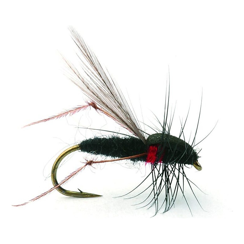 Russer Flua Tørr - 12 in de groep Kunstaas / Vliegen / Droge vliegen bij Sportfiskeprylar.se (101232GL)