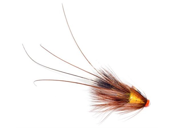 Pot Belly Pig - Creme Brulee 0,75 Copper Tube in de groep Kunstaas / Vliegen / Zalmvliegen bij Sportfiskeprylar.se (104432GL)