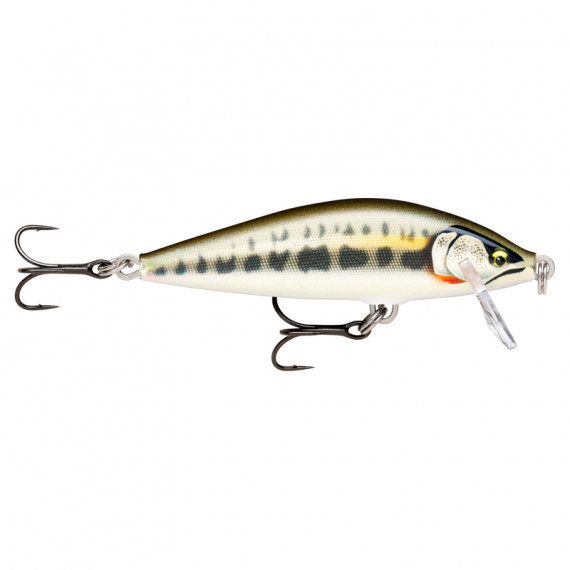 Rapala CountDown Elite 5,5cm - GDMN in de groep Vismethoden / Werpend vissen bij Sportfiskeprylar.se (126556NO)