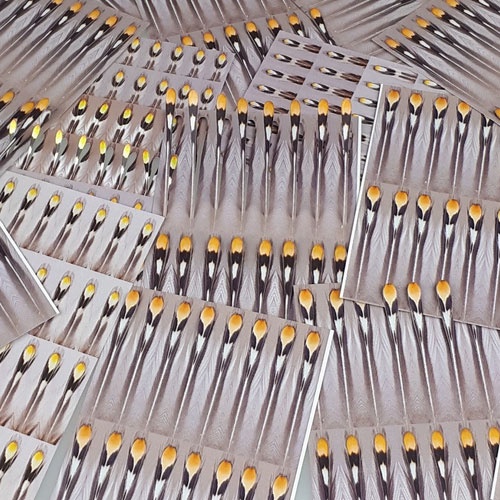 FutureFly Artificial Jungle Cock in de groep Haken & Terminal Tackle / Vliegvis bindmateriaal / Vliegbindmateriaal / Ogen bij Sportfiskeprylar.se (1465-001r)