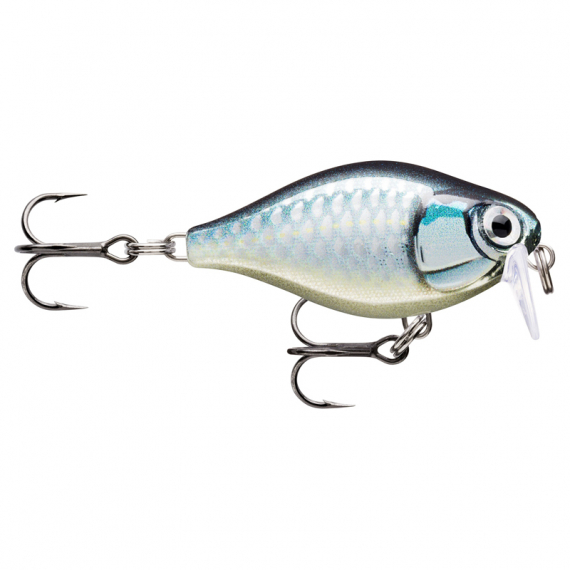 Rapala X-Light Crank Shallow Runner in de groep Kunstaas / Crankbaits / Shallow Diving Crankbaits bij Sportfiskeprylar.se (146501NOr)