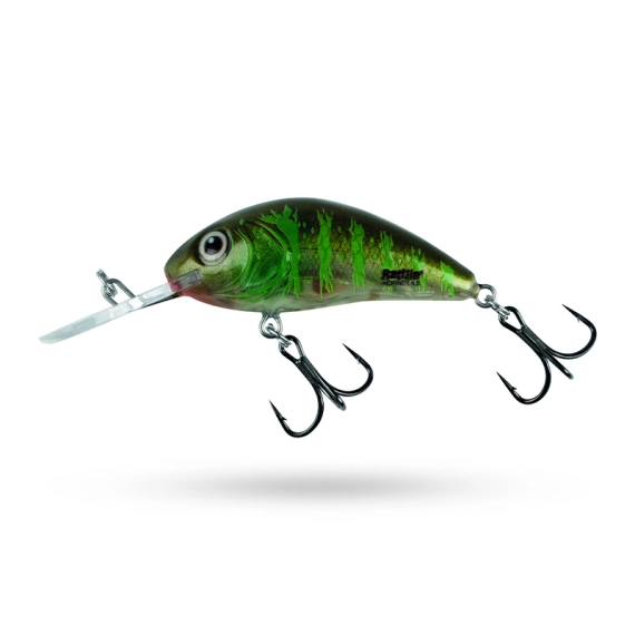 Salmo Rattlin Hornet Floating in de groep Kunstaas / Crankbaits / Diepduikende Crankbaits /plug bij Sportfiskeprylar.se (20159878-GFPr)