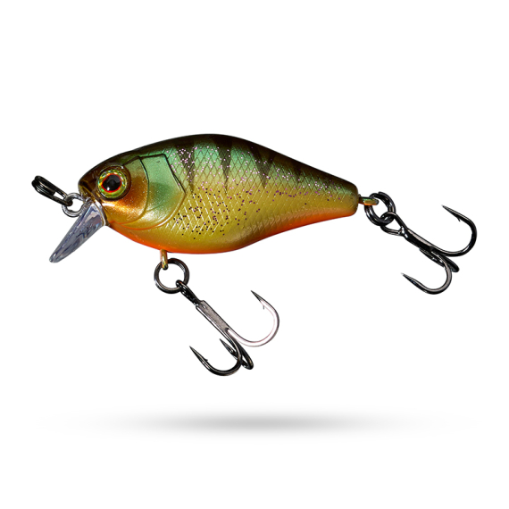 Jackall Chubby 41 in de groep Kunstaas / Crankbaits / Shallow Diving Crankbaits bij Sportfiskeprylar.se (29-74813r)