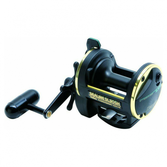 Daiwa Sealine Slosh 30 in de groep Reels / Zeevissen reels & molens bij Sportfiskeprylar.se (32-132906)