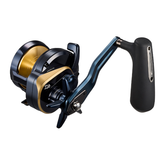 Daiwa 25 Saltiga (G) in de groep Reels / Zeevissen reels & molens bij Sportfiskeprylar.se (32-224504r)