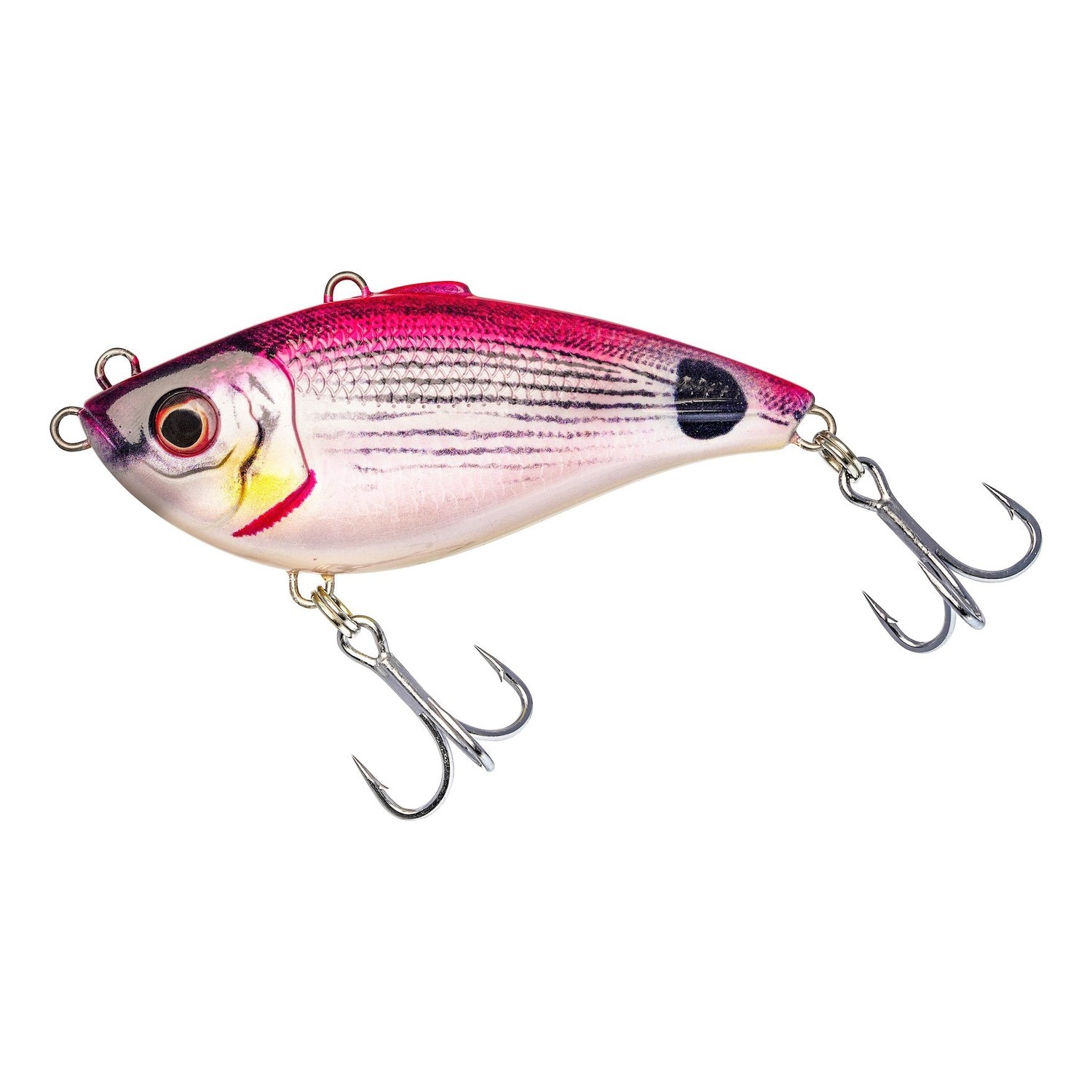 Westin Buzzvibe in de groep bij Sportfiskeprylar.se (5000135553DOr)