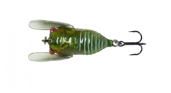 Savage Gear 3D Cicada 33mm 3,5g Floating, Green in de groep Kunstaas / Topwater kunstaas bij Sportfiskeprylar.se (61989)