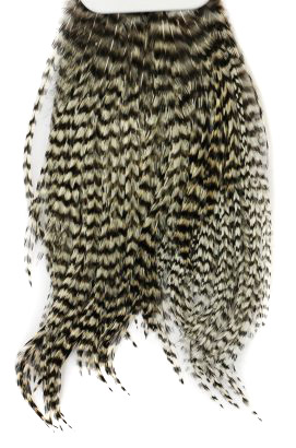 Whiting Bugger Pack in de groep Haken & Terminal Tackle / Vliegvis bindmateriaal / Vliegbindmateriaal / Veren & Capes / Capes & Saddles bij Sportfiskeprylar.se (91871734r)