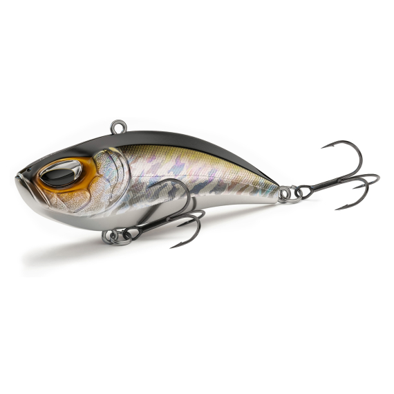 Nays Baits LPR