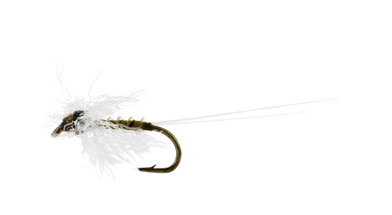 Baetis Spinner Biot Olive TMC100 in de groep Kunstaas / Vliegen / Droge vliegen bij Sportfiskeprylar.se (FL32110r)