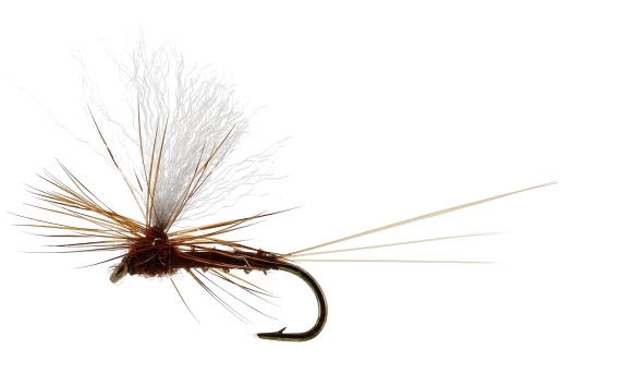 Vespertina Dun Biot Brown TMC100 in de groep Vismethoden / Vliegvissen / Vliegen / Droge vliegen bij Sportfiskeprylar.se (FL32115r)