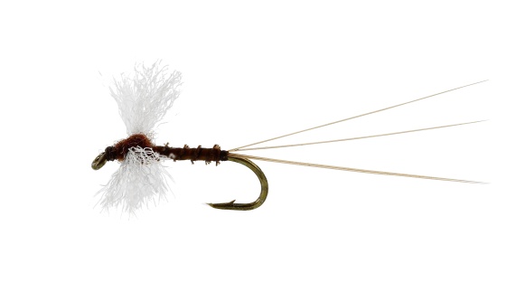 Vespertina Spinner Biot Brown TMC100 in de groep Vismethoden / Vliegvissen / Vliegen / Droge vliegen bij Sportfiskeprylar.se (FL32125r)