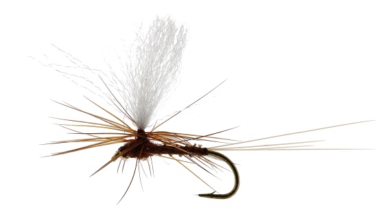 Marginata Dun Biot Brown TMC100 in de groep Kunstaas / Vliegen / Droge vliegen bij Sportfiskeprylar.se (FL32130r)