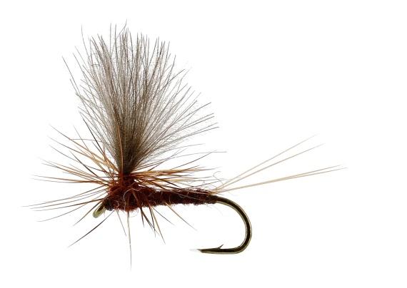 Vespertina Dun Brown TMC100 in de groep Vismethoden / Vliegvissen / Vliegen / Droge vliegen bij Sportfiskeprylar.se (FL32170r)