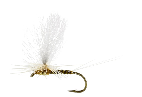 Sulphurea Dun Quill Yellow TMC100 in de groep Vismethoden / Vliegvissen / Vliegen / Droge vliegen bij Sportfiskeprylar.se (FL32200r)