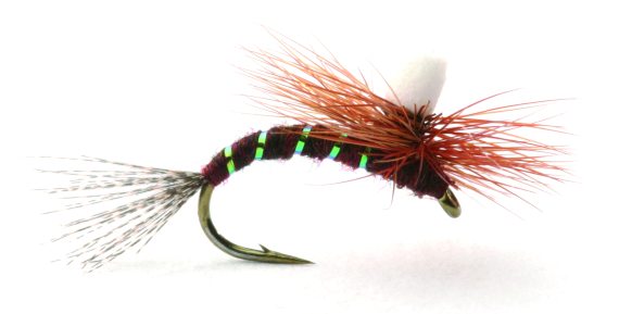 Ephemerella Klekker in de groep Kunstaas / Vliegen / Droge vliegen bij Sportfiskeprylar.se (GL46169r)