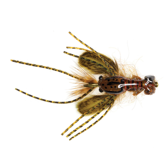 Umpqua Creek Crawler Olive #4 Hada\'s in de groep Kunstaas / Vliegen / Streamers bij Sportfiskeprylar.se (NFD9656-OL4)