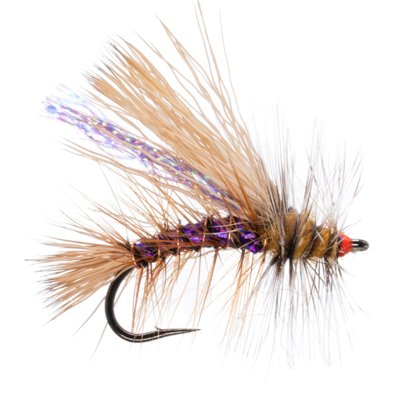 Umpqua Naked Stimulator Kaufmann Purple - #10 in de groep Kunstaas / Vliegen / Droge vliegen bij Sportfiskeprylar.se (NFD9827--Purple)