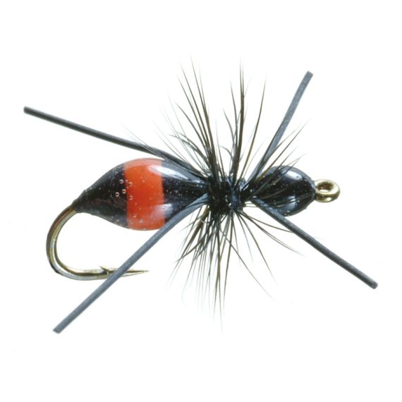 Umpqua Attract-Ant Black/Red - #16 in de groep Kunstaas / Vliegen / Droge vliegen bij Sportfiskeprylar.se (NFD9861-16)