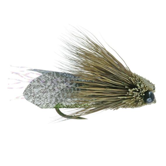 Umpqua Clark\'s Cicada Olive - #10 in de groep Kunstaas / Vliegen / Droge vliegen bij Sportfiskeprylar.se (NFD9865-10)