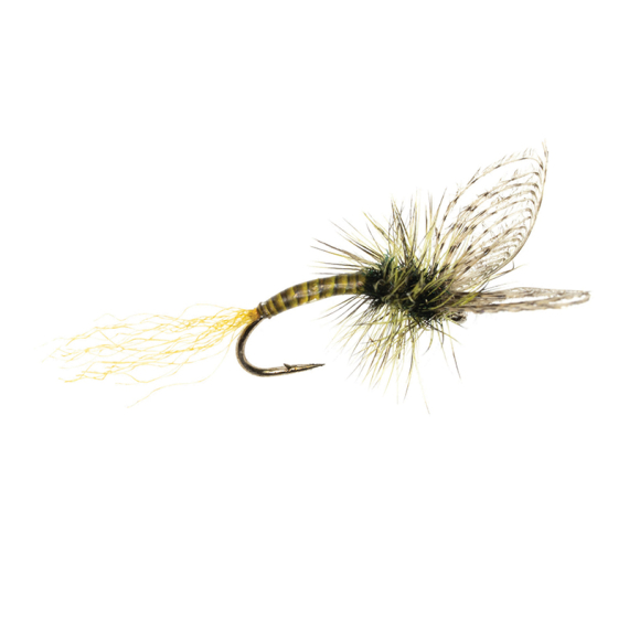 Umpqua Maldos PMD Emerger Maldonado in de groep Kunstaas / Vliegen / Droge vliegen bij Sportfiskeprylar.se (NFD9870-16r)