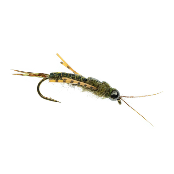 Umpqua Skwala Stone Tungsten Olive in de groep Kunstaas / Vliegen / Natte vliegen bij Sportfiskeprylar.se (NFD9886-8r)