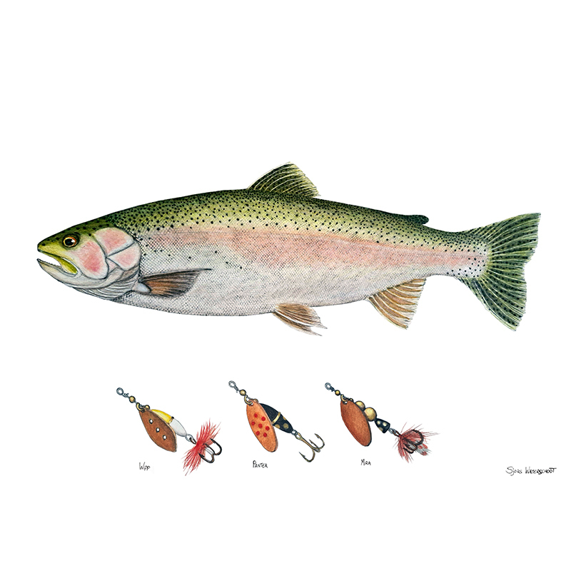 Myran Framed Rainbow Poster in de groep bij Sportfiskeprylar.se (NFS50-7)