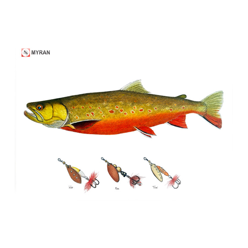 Myran Framed Arctic Char Poster in de groep bij Sportfiskeprylar.se (NFS50-8)