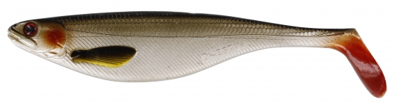Westin ShadTeez 16cm 39g Lively Roach (bulk) in de groep Kunstaas / Softbaits / Snoek Softbaits bij Sportfiskeprylar.se (P021-136-026)