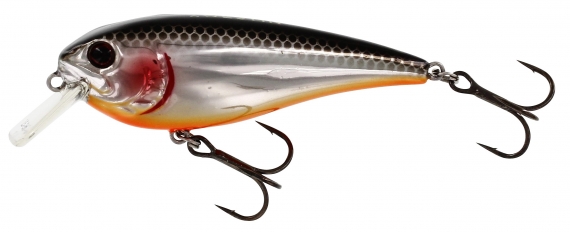 Westin RawBite 7 cm 12 g Floating Steel Sardine in de groep Kunstaas / Crankbaits / Shallow Diving Crankbaits bij Sportfiskeprylar.se (P048-221-005)