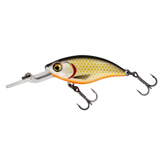 BuzzBite Crankbait 6cm 10g Suspending Official Roach in de groep Kunstaas / Crankbaits / Diepduikende Crankbaits /plug bij Sportfiskeprylar.se (P145-155-148)