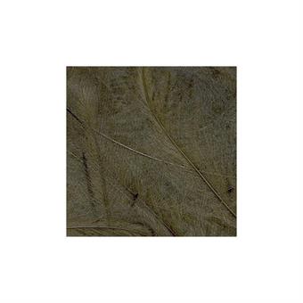 CDC Feathers 1 gr - Bistre in de groep Haken & Terminal Tackle / Vliegvis bindmateriaal / Vliegbindmateriaal / Veren & Capes / CDC bij Sportfiskeprylar.se (PE-1GR16)