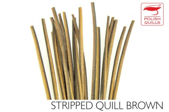 Polish Quill Hand Stripped Quill in de groep Haken & Terminal Tackle / Vliegvis bindmateriaal / Vliegbindmateriaal / Veren & Capes / Andere veren bij Sportfiskeprylar.se (PQ-HSQ-Brownr)