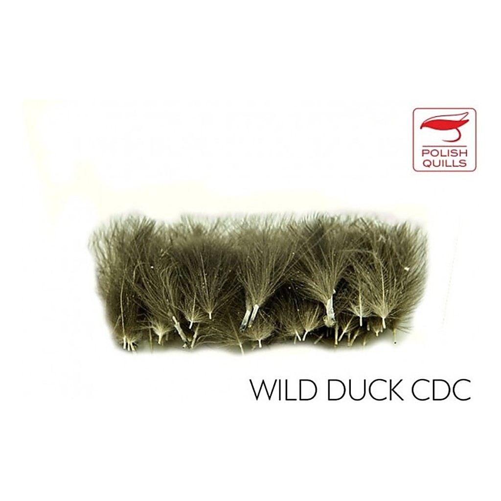 Polish Quill Wild Duck CDC in de groep Vismethoden / Vliegvissen bij Sportfiskeprylar.se (PQ-WDCDC)