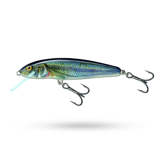 Salmo Minnow Floating in de groep Kunstaas / Crankbaits / Shallow Diving Crankbaits bij Sportfiskeprylar.se (QMW002r)