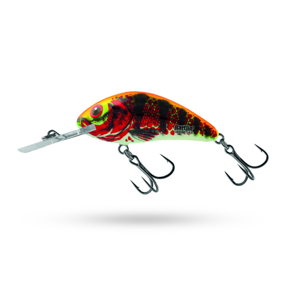Salmo Rattlin\' Hornet 5.5cm - Holo Red Perch in de groep Kunstaas / Crankbaits / Diepduikende Crankbaits /plug bij Sportfiskeprylar.se (QRH517)