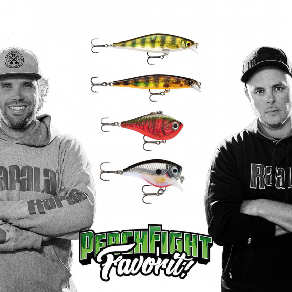 Team Rapala PerchFight Favoriter Hårdbete in de groep Kunstaas / Crankbaits bij Sportfiskeprylar.se (R-PFF2)