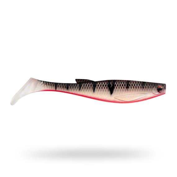 Scout Shad 15cm (2pcs) - Red Ghost Perch in de groep Kunstaas / Softbaits / Snoek Softbaits bij Sportfiskeprylar.se (STSS15P-902)