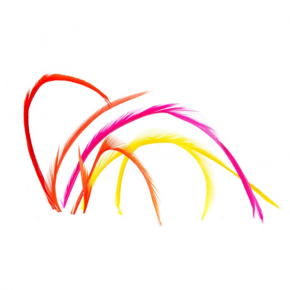 Goosebiots in de groep Haken & Terminal Tackle / Vliegvis bindmateriaal / Vliegbindmateriaal / Veren & Capes / Hackle bij Sportfiskeprylar.se (V5048r)