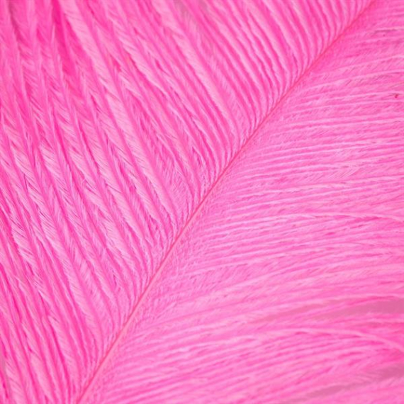 Struts plym - Fluo Pink in de groep Haken & Terminal Tackle / Vliegvis bindmateriaal / Vliegbindmateriaal / Veren & Capes / Andere veren bij Sportfiskeprylar.se (W-OP510)