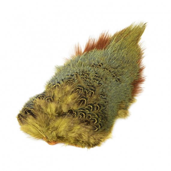 Ringneck Rump Patch in de groep Haken & Terminal Tackle / Vliegvis bindmateriaal / Vliegbindmateriaal / Veren & Capes / Capes & Saddles bij Sportfiskeprylar.se (W-PSR010r)