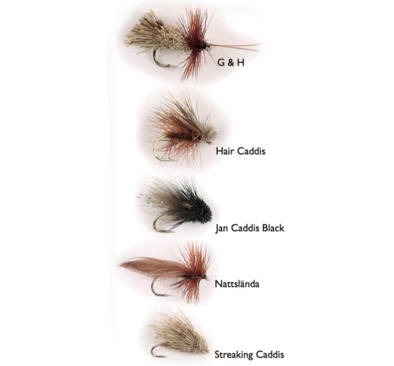 Dry Fly Sedges 5-pak in de groep Kunstaas / Vliegen / Droge vliegen bij Sportfiskeprylar.se (WFB125)