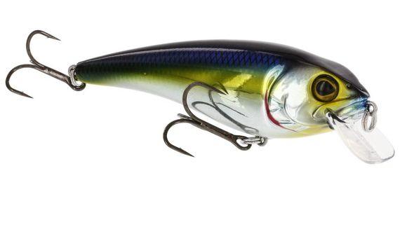 Westin RawBite 11cm 27g Low Floating in de groep Kunstaas / Crankbaits / Shallow Diving Crankbaits bij Sportfiskeprylar.se (WS14112r)
