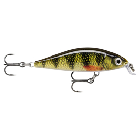 Live Perch