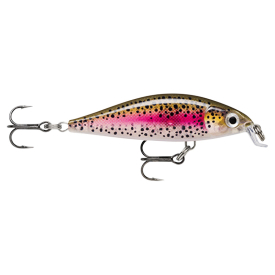 Live Rainbow Trout