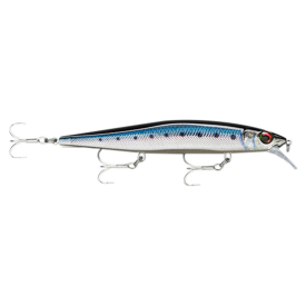 Live Blue Sardine